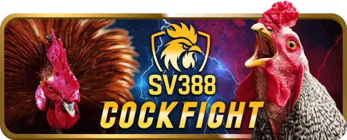 Cá cược bóng đá tại keowin365 win